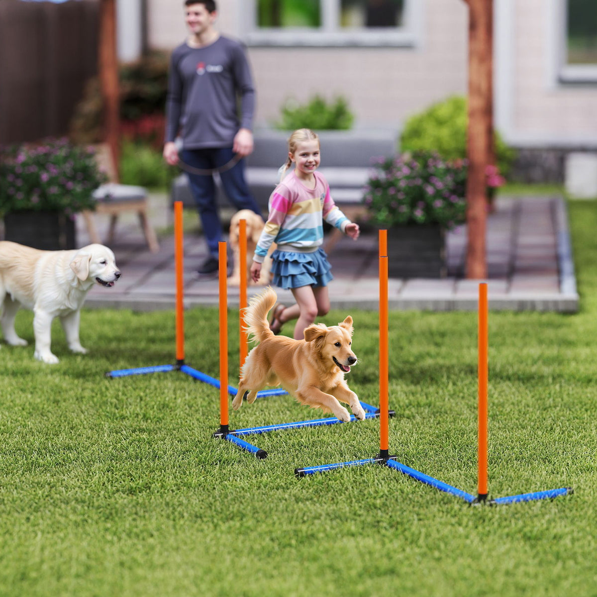 Dog Agility Set 3-Piece Agility Equipment with Slalom Poles, Carrying Bag, Training Set for All Dog Sizes Orange (2)