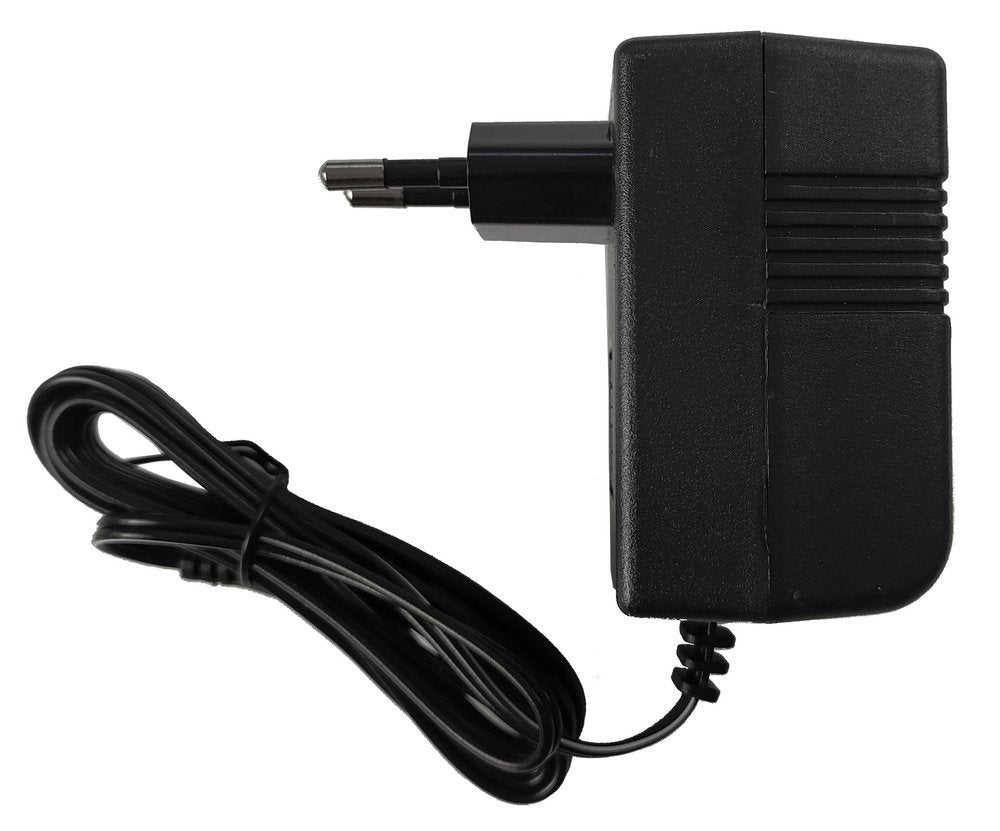 Electric car charger 6V 230-240V 50Hz 500mA (2)