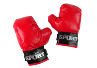 Boxing Set Bag + Velcro Gloves (2)
