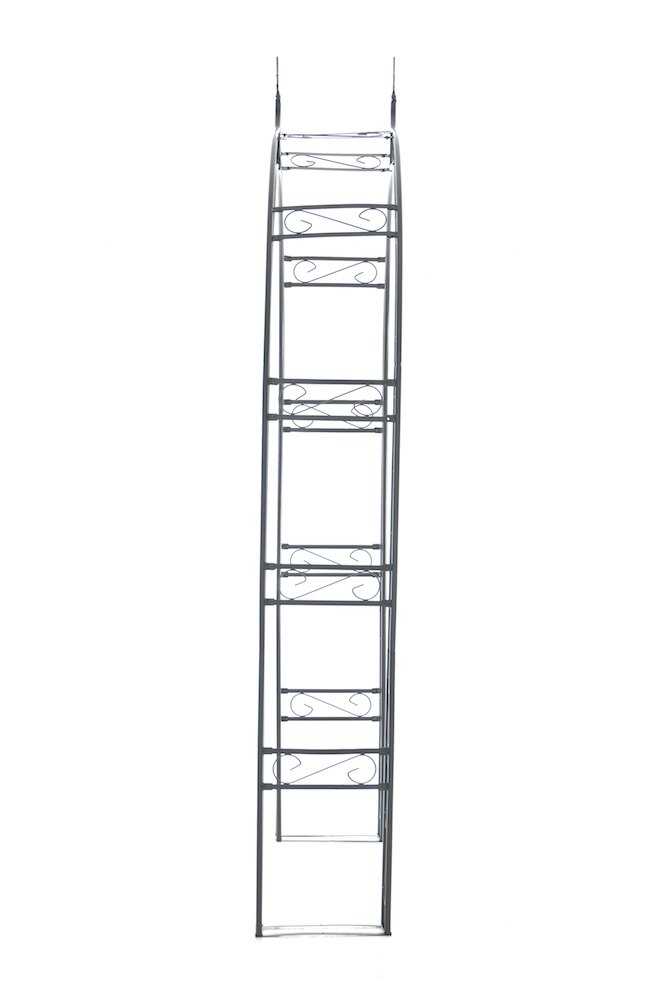 CLP Rosenbogen Nosty – Produktabbildung 3