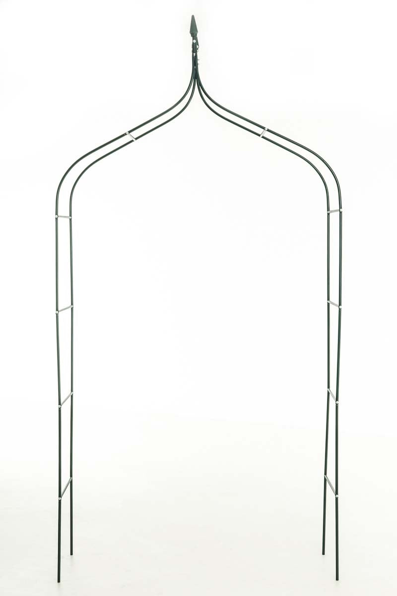 CLP Rosenbogen Yasin – Produktabbildung 3