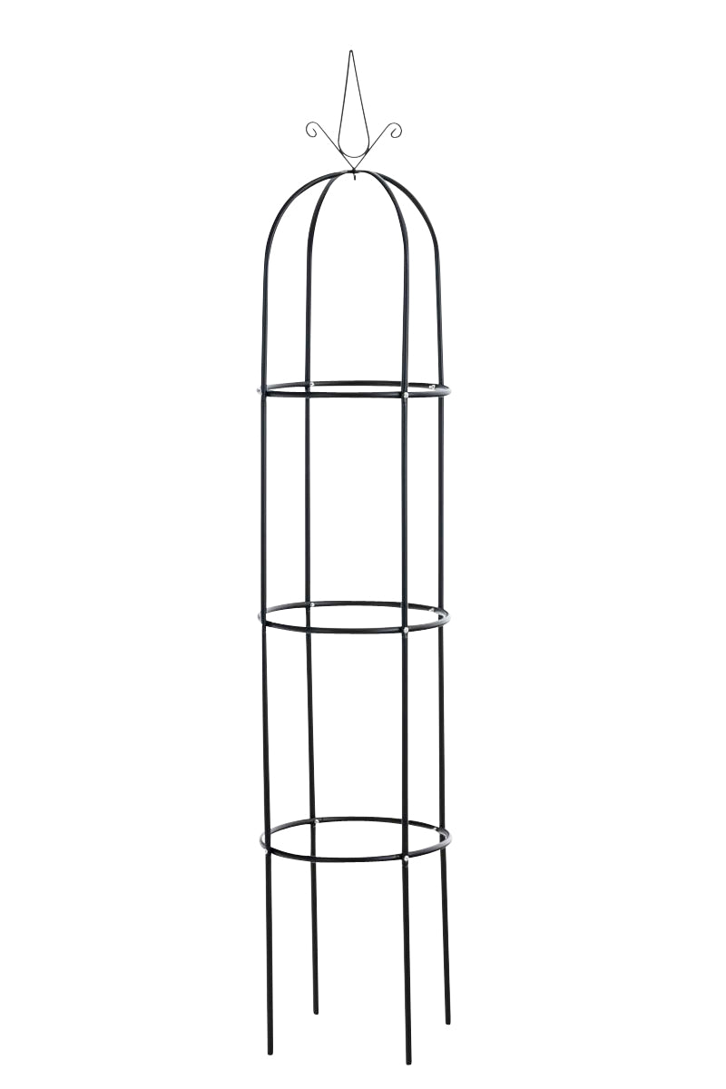 CLP Rosensäule Romantika V2