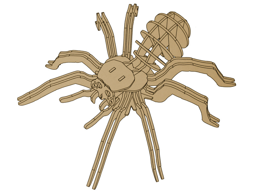 3D wooden spider puzzle, educational combination of 31 elements (2)