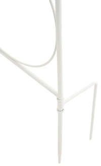 CLP 2er Set Rankgitter Mandevilla – Produktabbildung 9