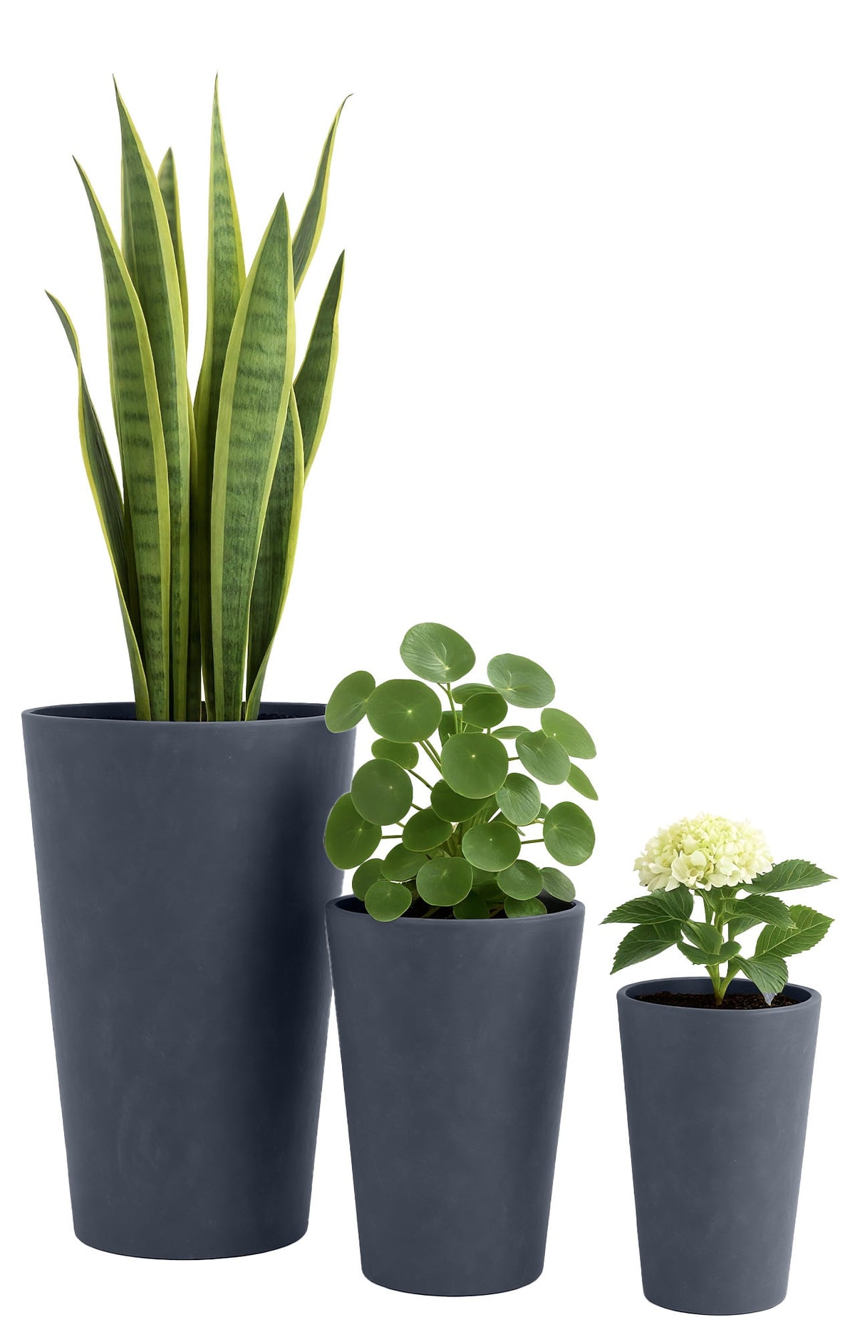 CLP 3er Set Pflanzkübel 3 – Produktabbildung 8