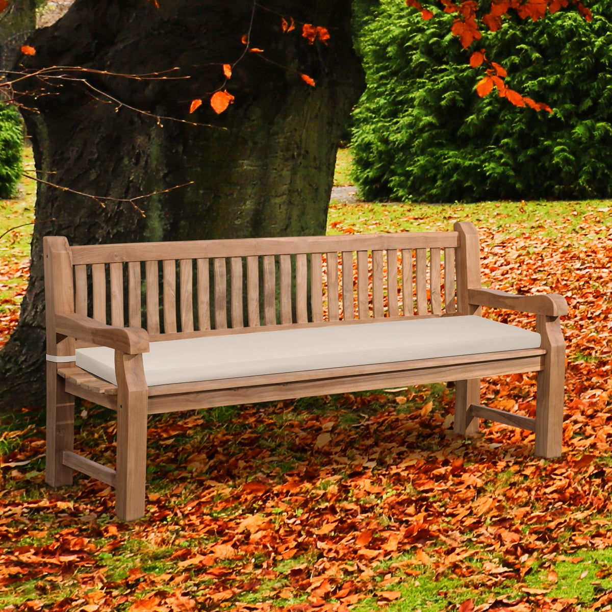 CLP Teakbank Jackson mit Sitzkissen 200 cm + teak – Produktabbildung 2