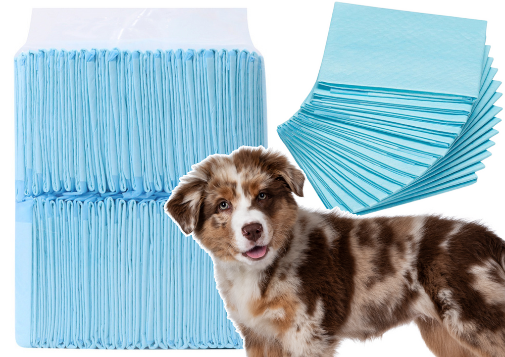 Hygienic absorbent pads for animals, 40 pcs