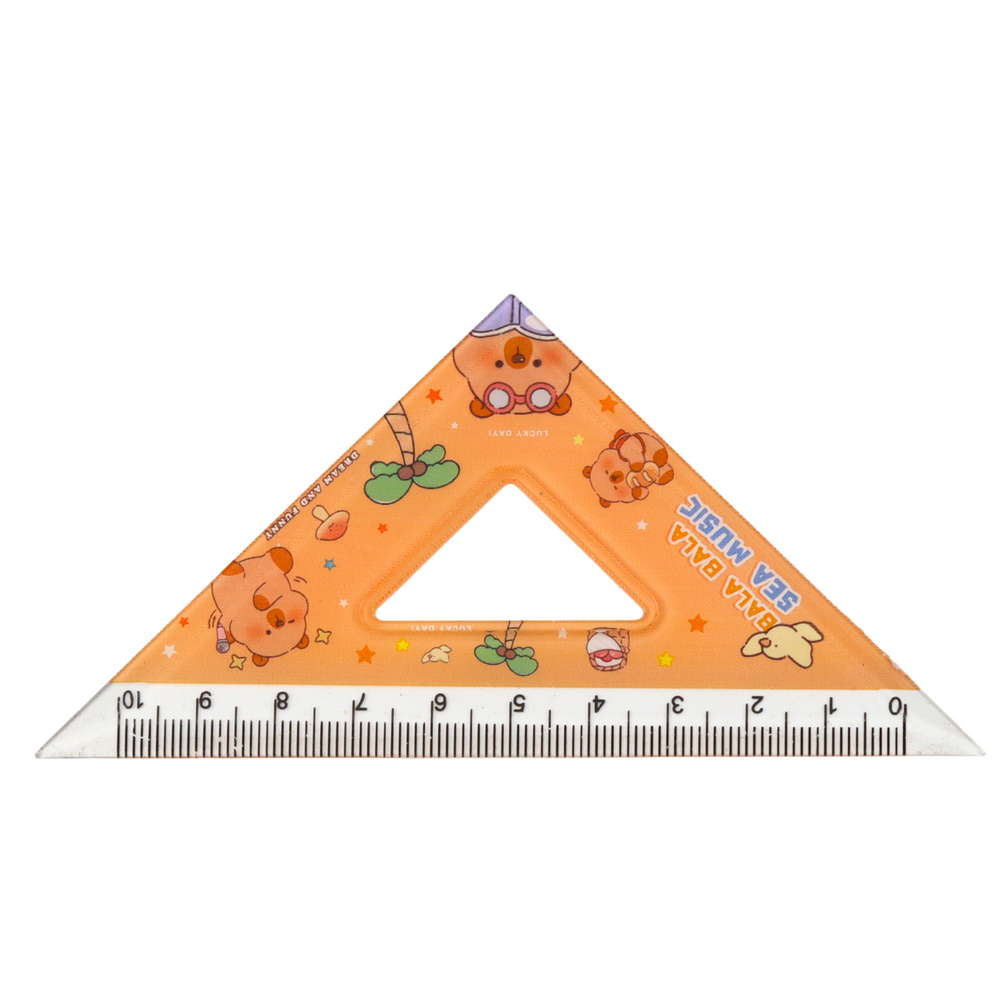 Geometry tool set, capybara ruler, protractor, set squares, 4 pieces (2)