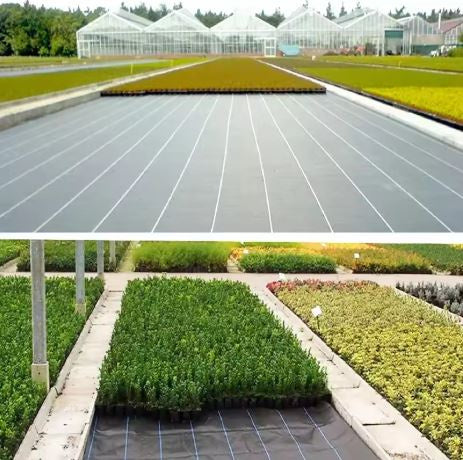 Black agrotextile 1100 cm x 50 m UV 135 g weed control agrotextile + anchors (2)