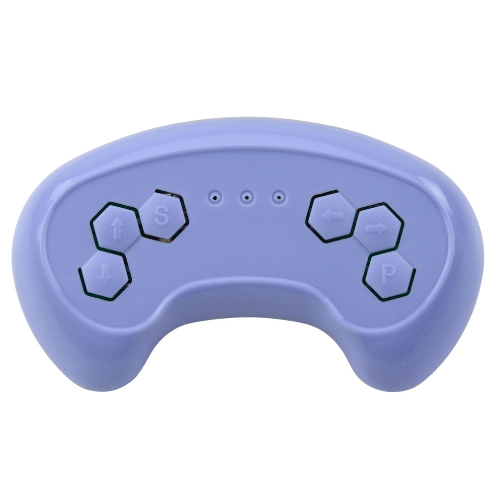 2.4G remote control for WMT-666 (2)