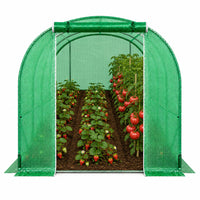 Foil Tunnel Garden Greenhouse PRO Frame 25 mm 6 x 3 x 2 m 18 m² (3)
