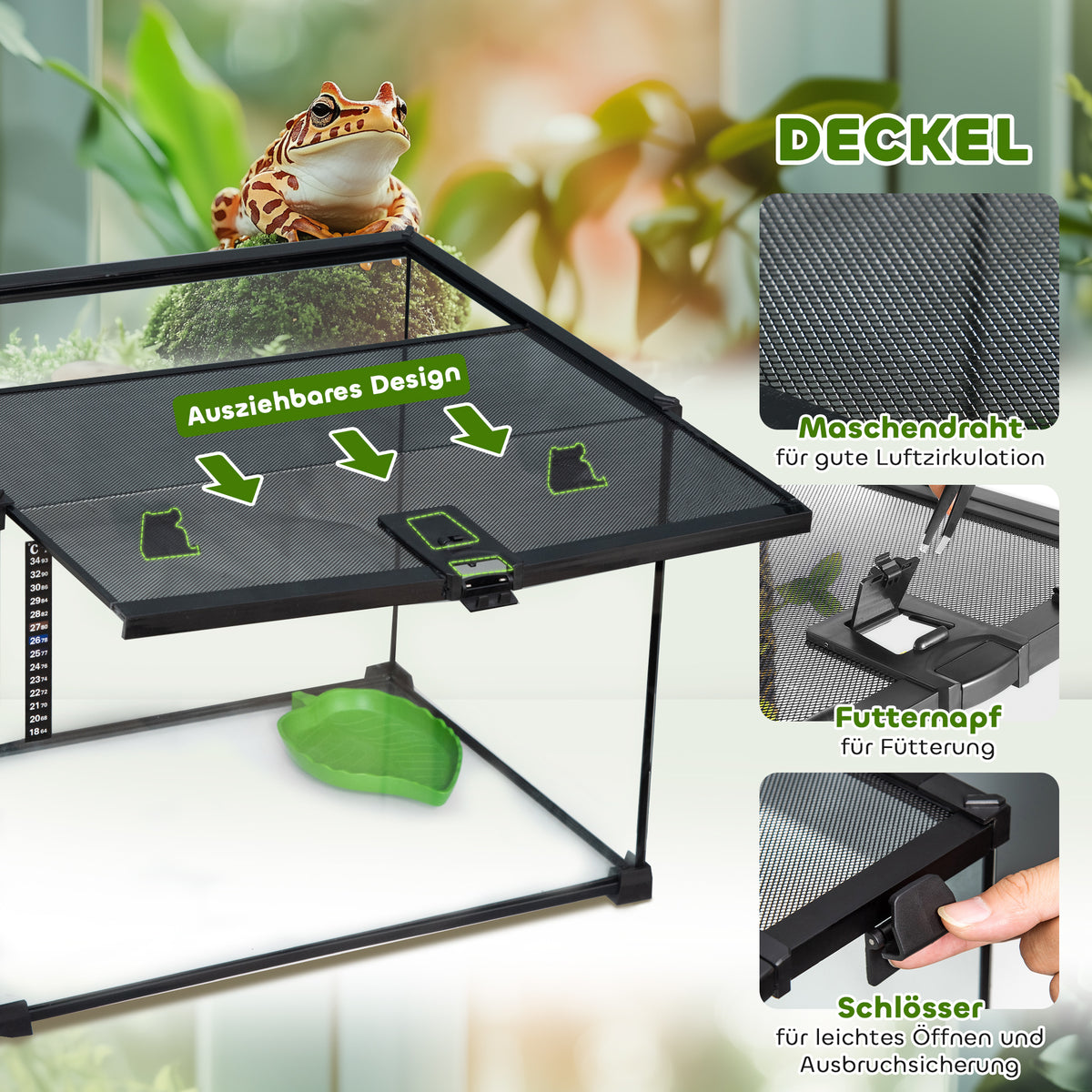 Reptile Terrarium Feeding Box Glass Terrarium for Amphibians and Arachnids with Thermometer Reptile Breeding Box (5)