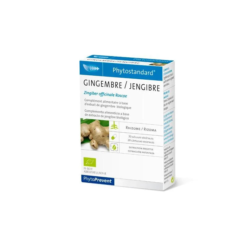 Pileje Ginger 20 Capsules