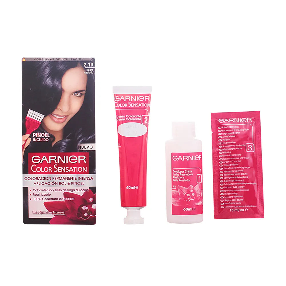Garnier Color Sensation 2.10 Blue Black