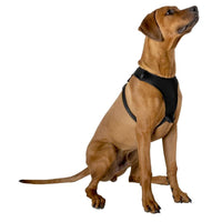 Dog harness / harness 67.6 x 106.5 cm size L (black) (2)