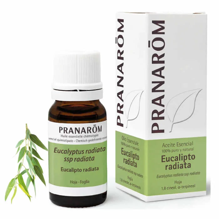 Pranarôm Eucalyptus Radiata Essential Oil 10ml