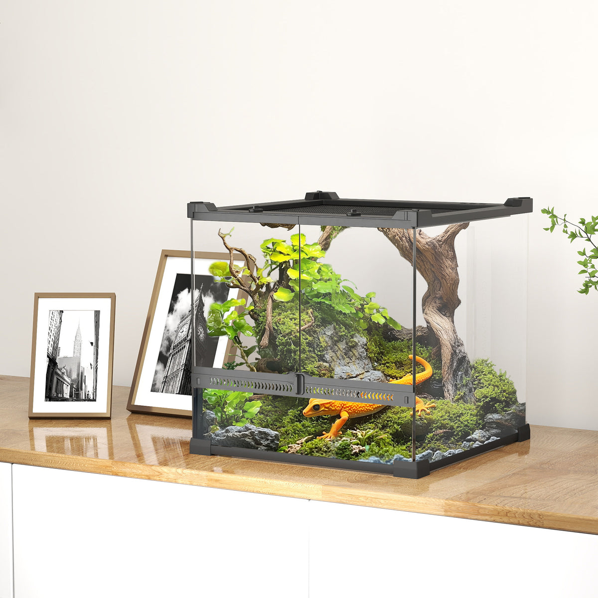 Glass terrarium for reptiles, raised & waterproof base, button lock (2)