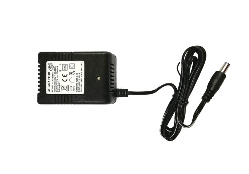 12V 1000mA charger (5)