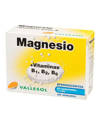 Vallesol Magnesium B Effervescent 24 tablets