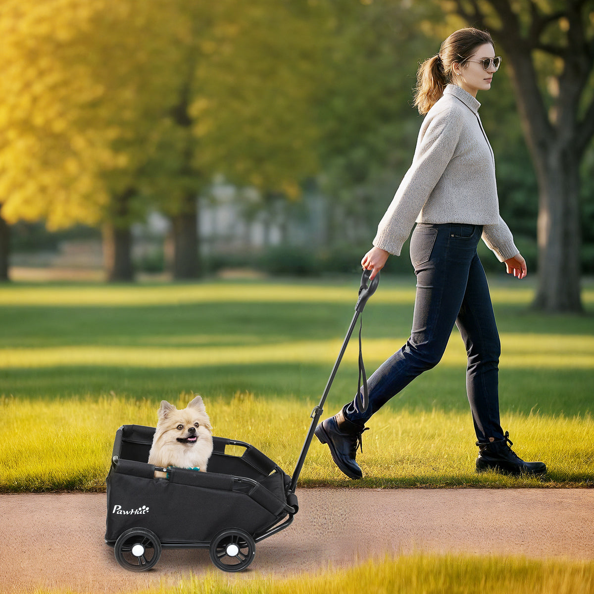 Dog stroller, foldable dog buggy for toy dogs up to 4 kg, collapsible cat buggy with handlebar, washable cushion (2)
