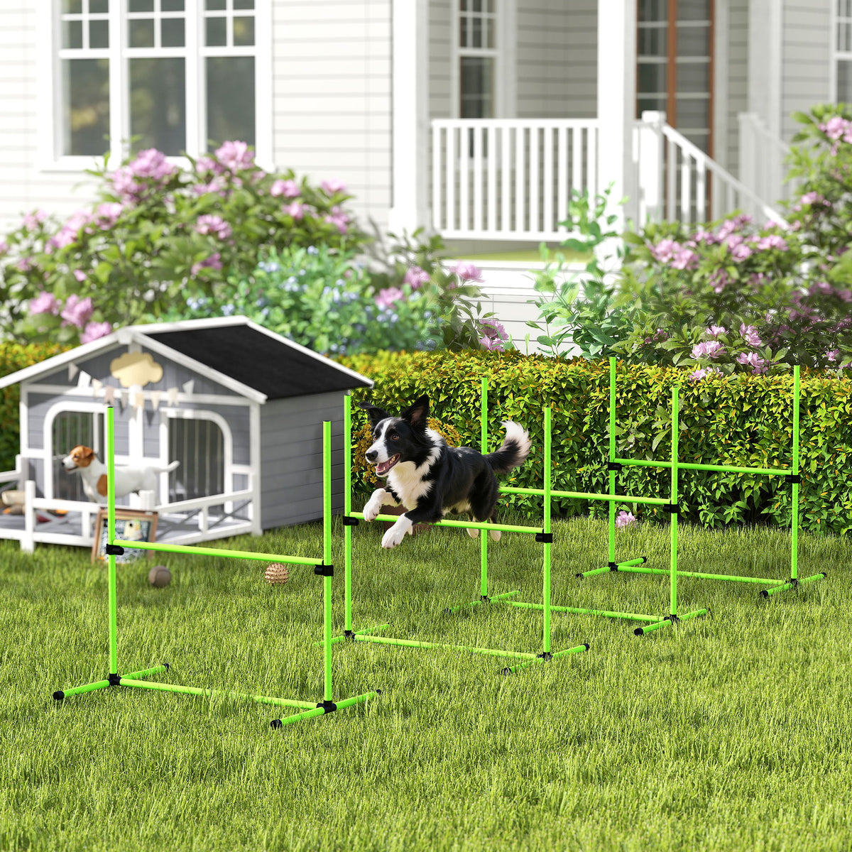 Dog Agility Set 4-piece height-adjustable agility equipment with 4 hurdles carrying bag 99 x 65 x 94 cm green (2)