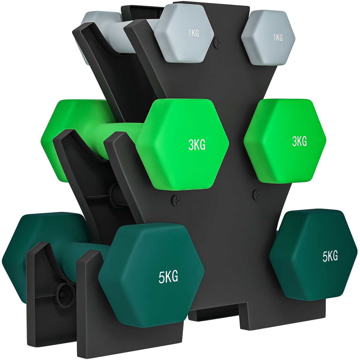 Dumbbell set with storage rack, set of 6 dumbbells for fitness training, 2 x 1kg, 2 x 3kg, 2 x 5kg