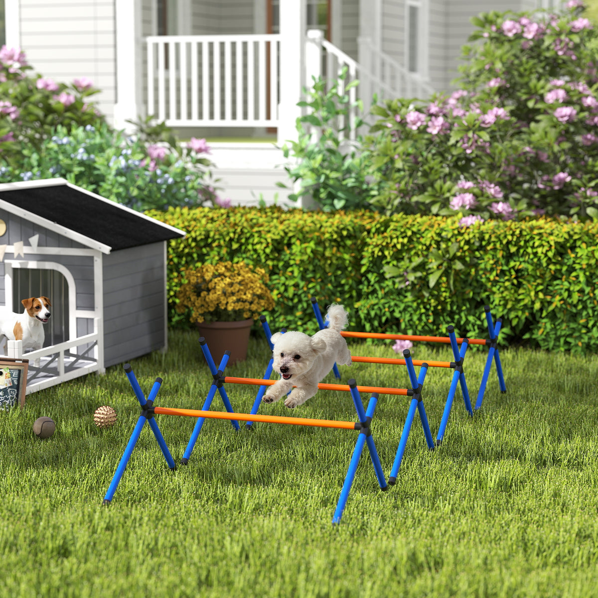 Dog Agility Set, 4-Piece Agility Equipment with Hurdles, Height-Adjustable Training Set with Carrying Bag for (2)