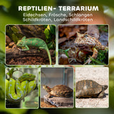 Glass terrarium for reptiles, raised & waterproof base, button lock (4)