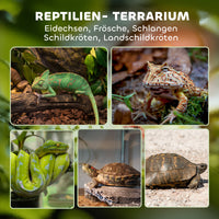 Glass terrarium for reptiles, raised & waterproof base, button lock (4)