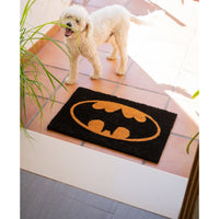 Batman - Steering (5)