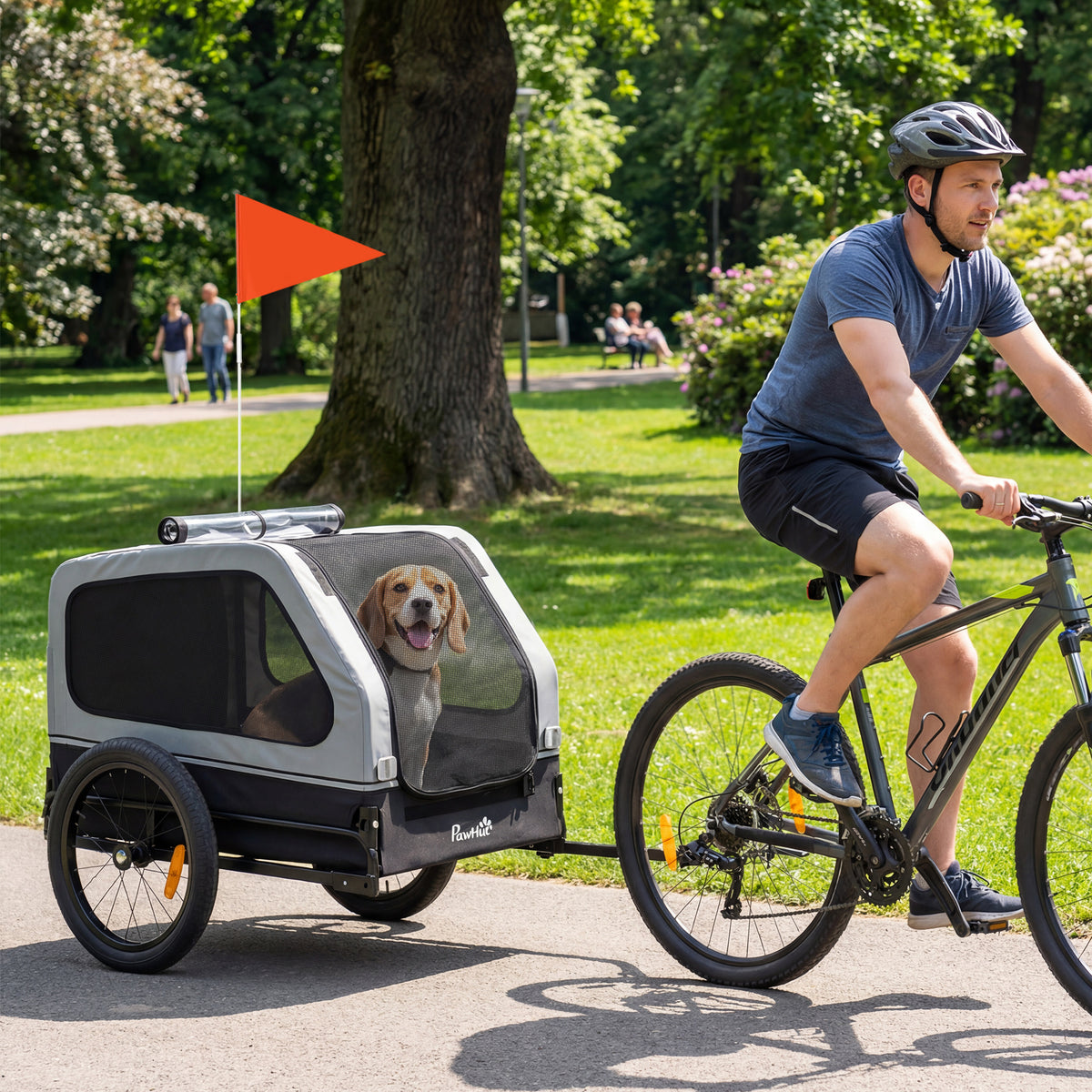 Foldable bicycle trailer for medium-sized dogs up to 20kg with fold-down ramp, reflectors, leash, flag, grey (2)