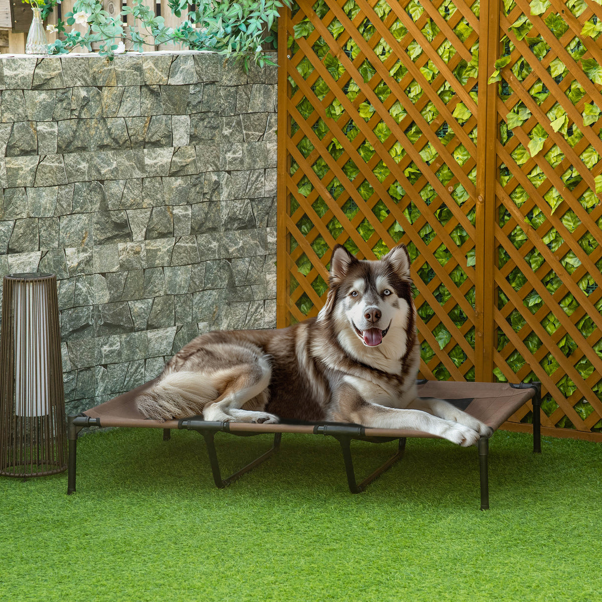 Dog bed, foldable, outdoor dog bed, elevated, 122 cm x 92 cm x 23 cm, coffee brown + black (2)