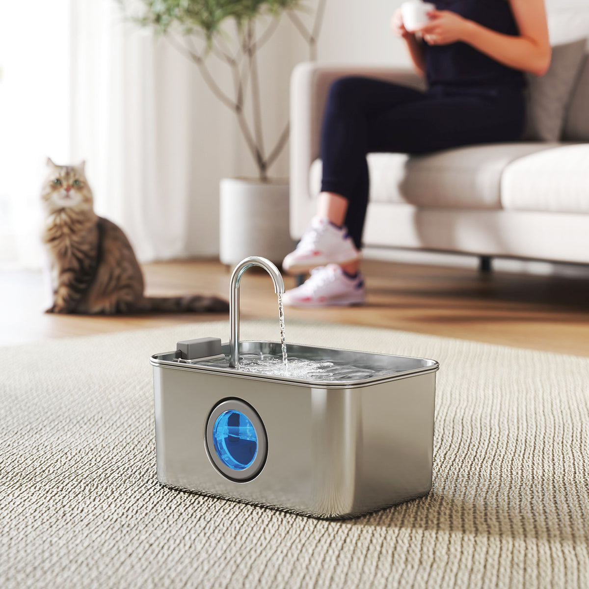 Cat water fountain, 3.2L drinking fountain for cats with quiet pump and activated carbon filter (2)