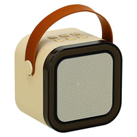 Karaoke-Set 2 Mikrofone + tragbarer Lautsprecher BLUETOOTH USB LED beige
