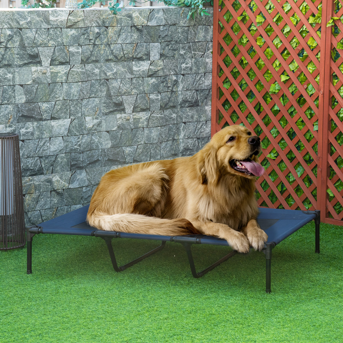 Dog bed, foldable, outdoor dog bed, elevated, 122 cm x 92 cm x 23 cm, blue + black (2)