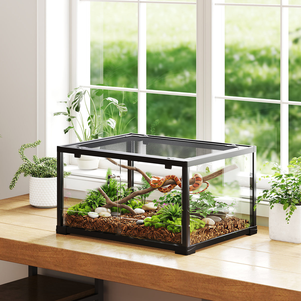 Reptile terrarium, 86-liter vivarium with sliding door, lockable, for lizards, insects, spiders, geckos, 60 x 45 (2)