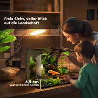 Glass terrarium for reptiles, raised & waterproof base, button lock (7)