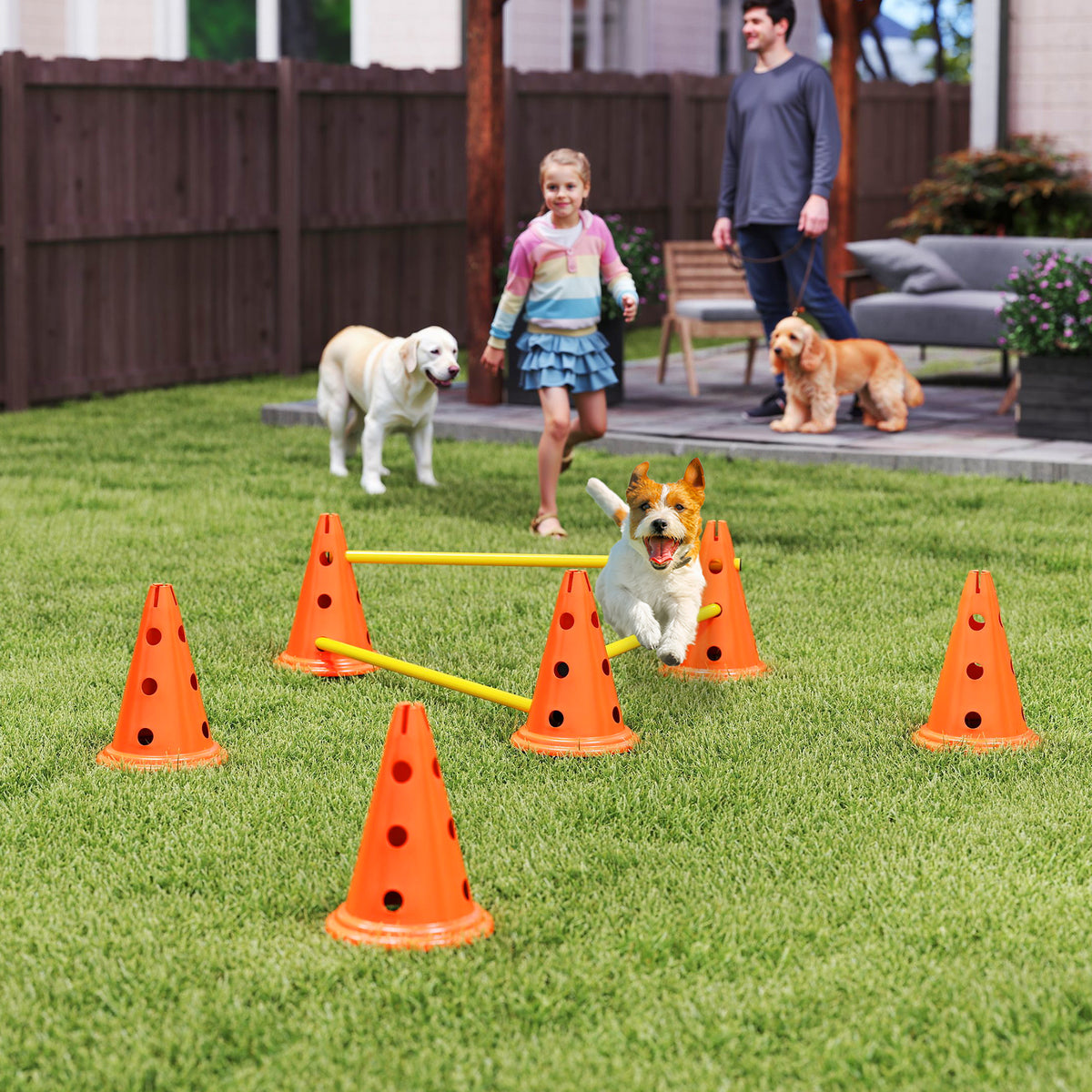 3-Piece Dog Agility Training Set: Hurdle Set with 6 Cones, 3 Hurdles, and Carrying Bag (2)