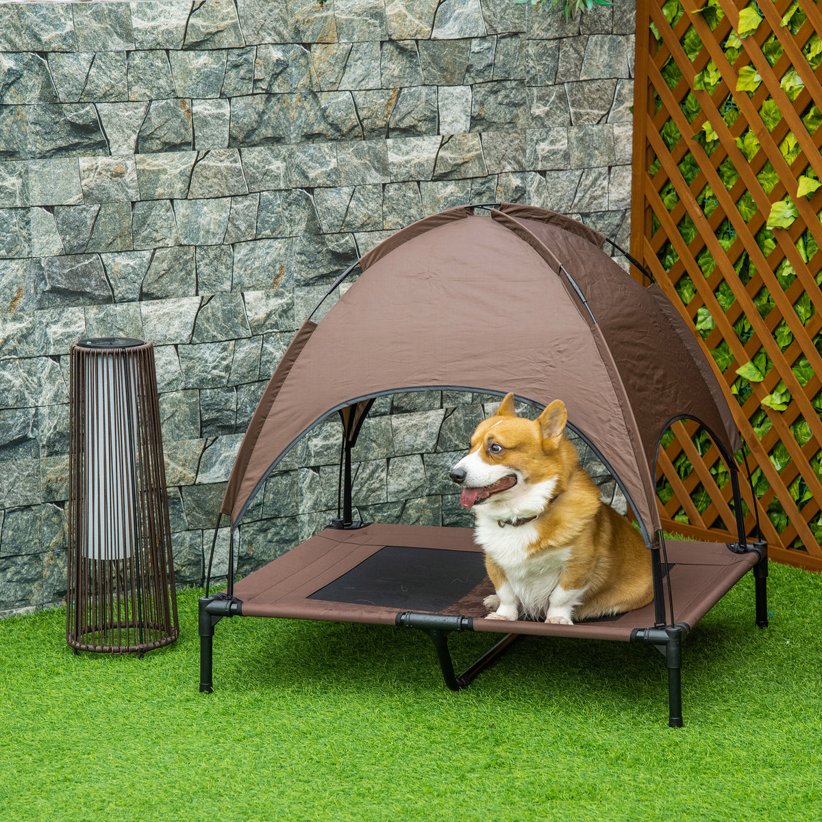 Raised dog bed with canopy, pet bed, outdoor dog cot with roof, breathable, taffeta fabric for camping, coffee (2)