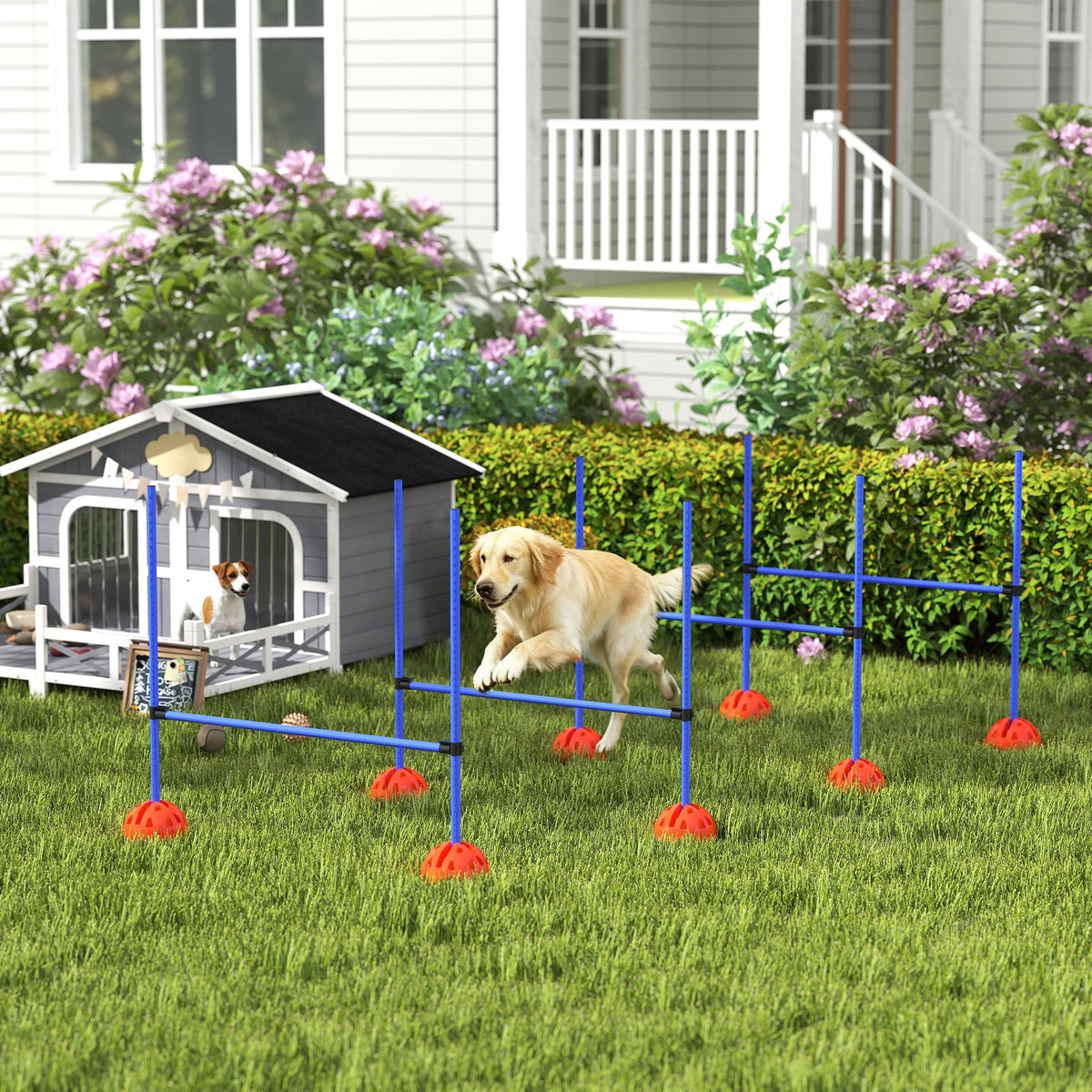 4-piece dog agility set with 4 hurdles and carrying bag for jump training, blue (2)