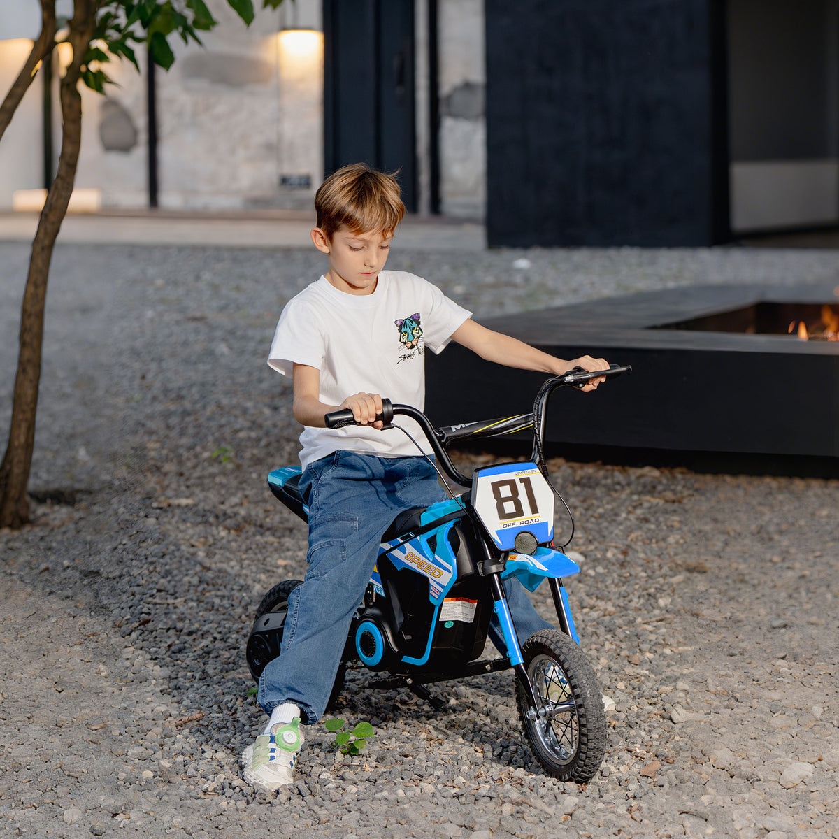 Electric Motorcycle for Kids 24V Kids' Motocross with 250W Motor, 7Ah Battery, Rear Suspension, Disc Brake, 16 (2)
