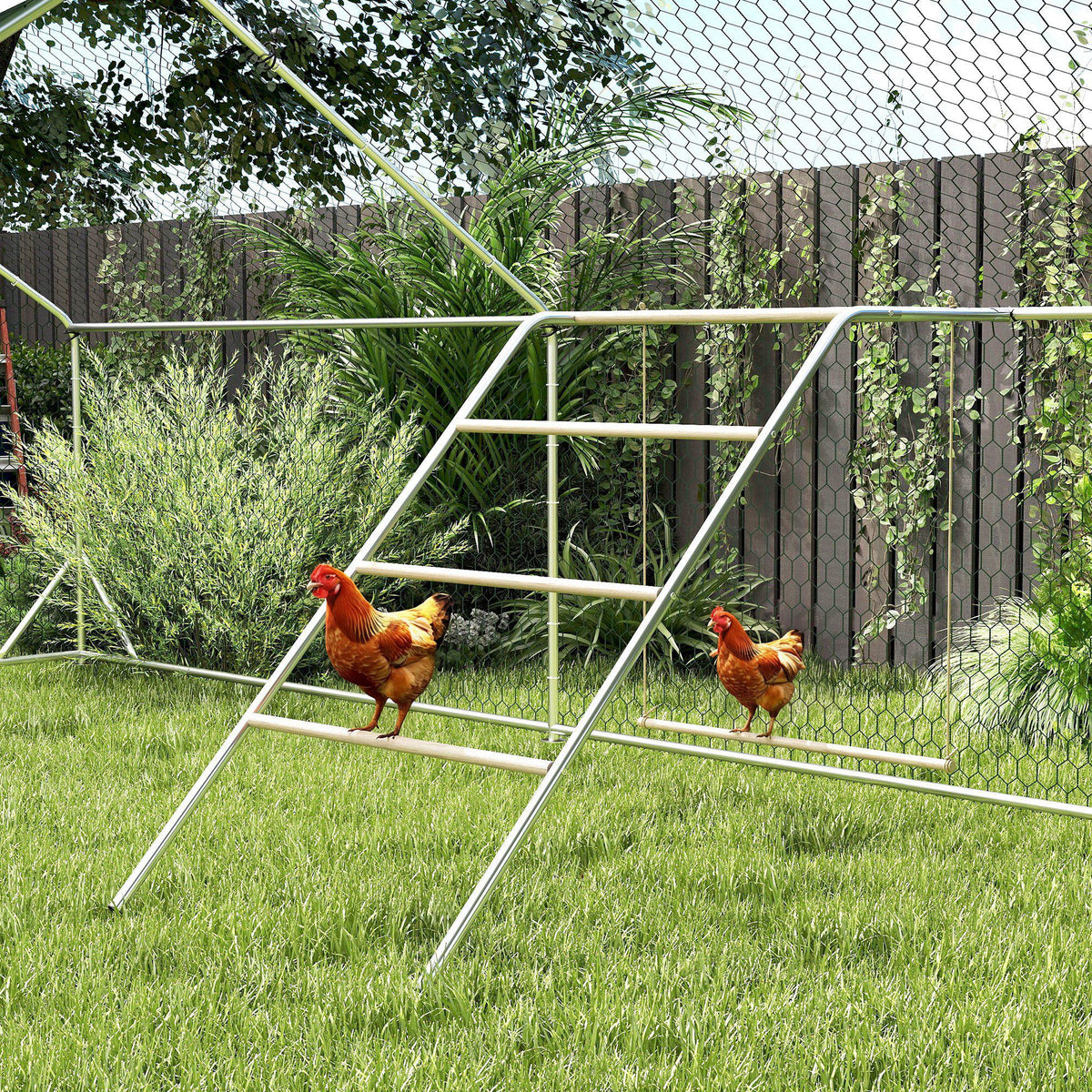 Wooden chicken play frame, playground for chickens with roosting bars, adjustable swing, 82 x 150 x 110 cm (2)
