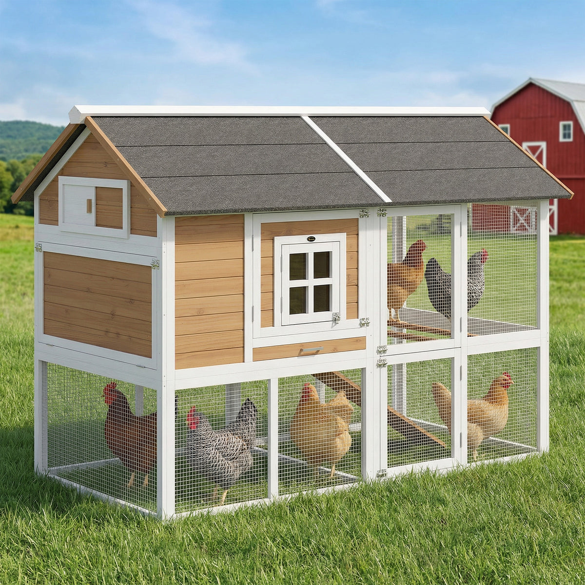 Chicken coop hen house with run, nesting box, pull-out tray, asphalt roof for 4 chickens, 200x104x145cm, wood (2)
