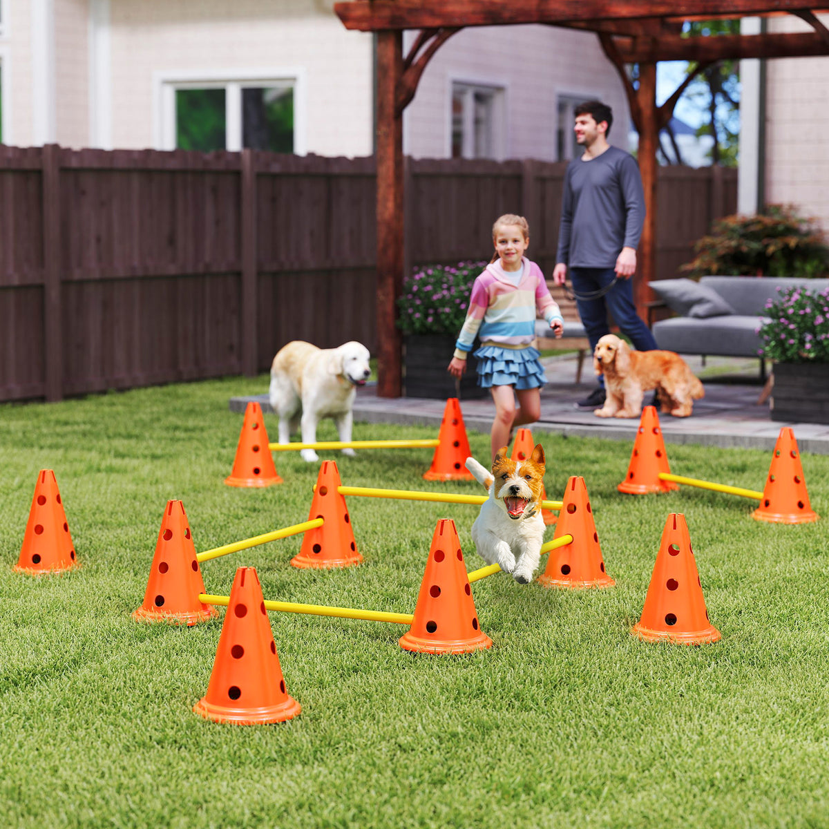 Dog Agility Set, 6-piece agility equipment for dog training, hurdle set with 12 cones, 6 hurdles, and carrying (2)