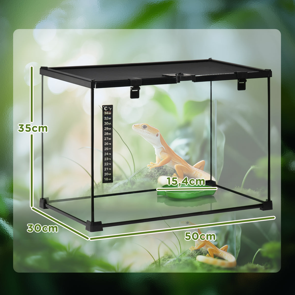 Reptile Terrarium Feeding Box Glass Terrarium for Amphibians and Arachnids with Thermometer Reptile Breeding Box (3)
