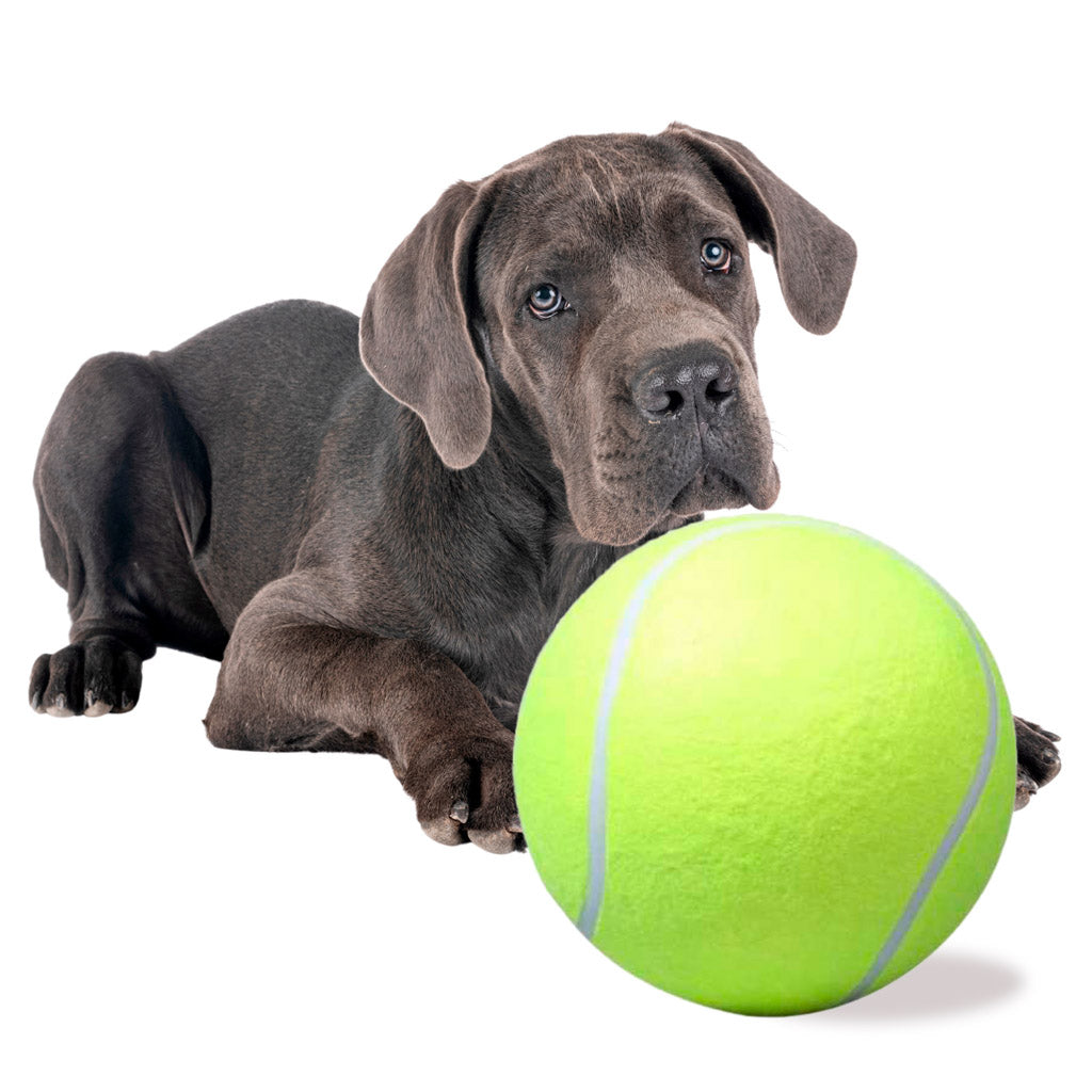 IKONKA Riesiger Tennisball XXL 24cm Hundespielzeug – Produktabbildung 2