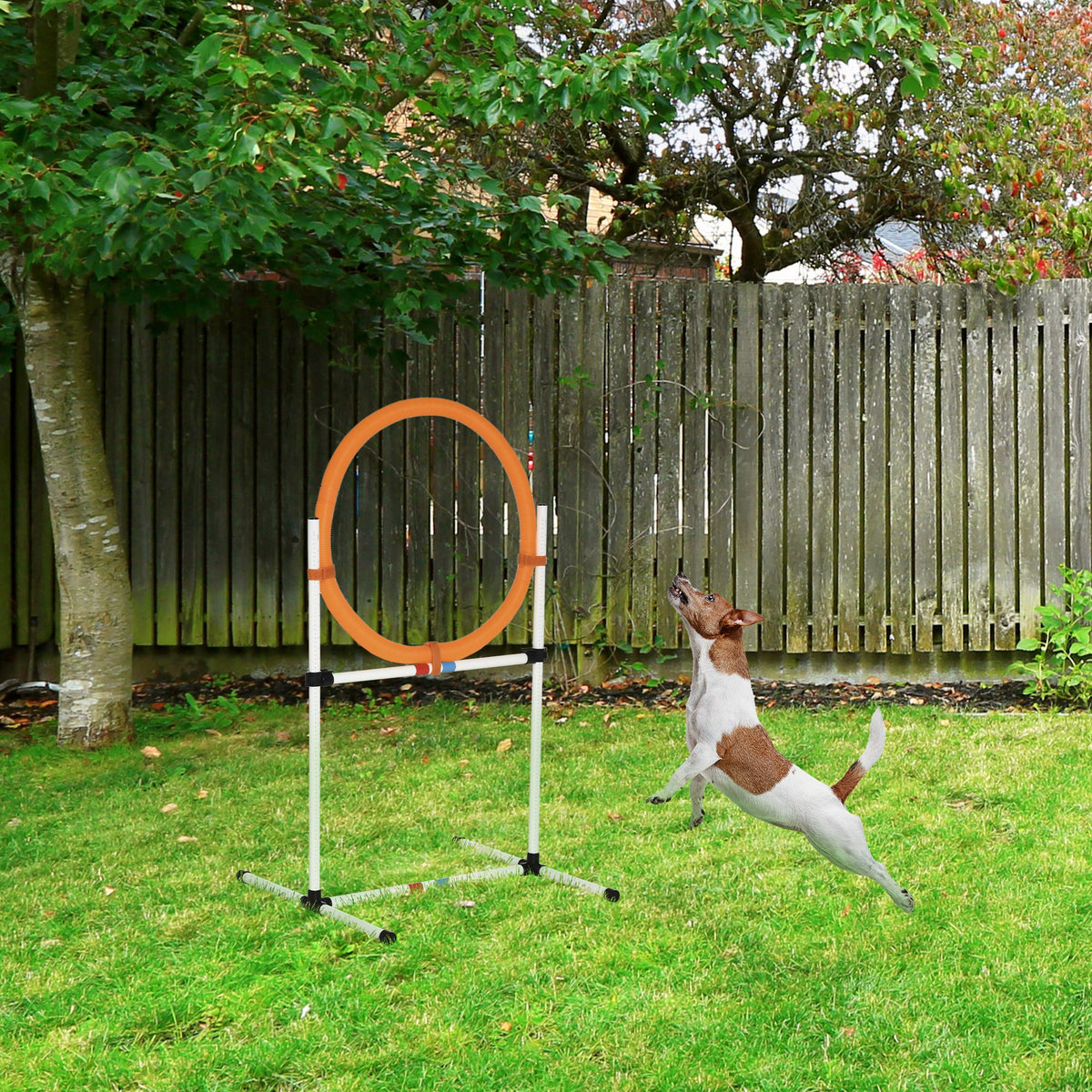 Agility Jump Ring for Dogs, Dog Agility Set, 2-in-1 Agility Ring Jump Bar with Carry Bag Plastic 74.5 x 66 x 91 (2)