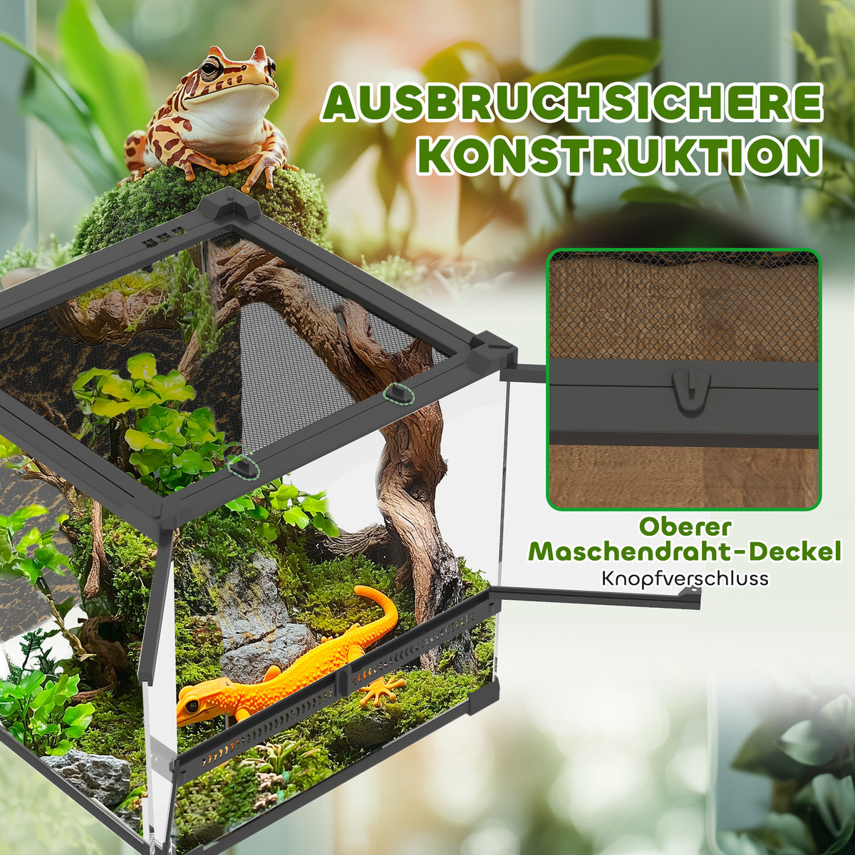 Glass terrarium for reptiles, raised & waterproof base, button lock (6)