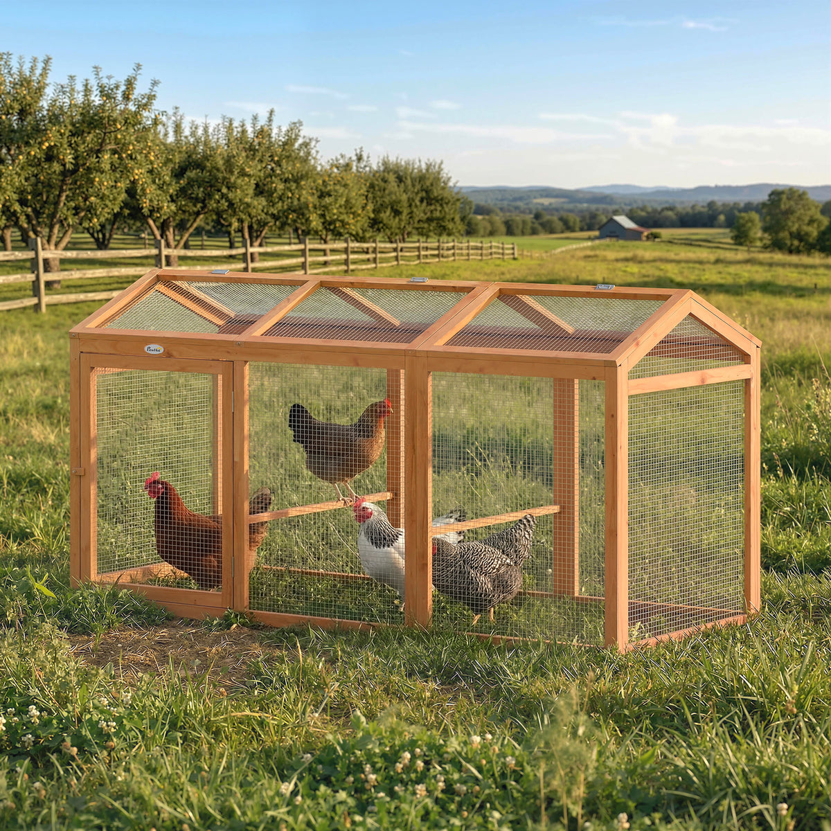 Chicken coop with run, perching pole, and double doors, made of wood and metal, for 4 chickens, 156 x 70.5 x 84 (2)