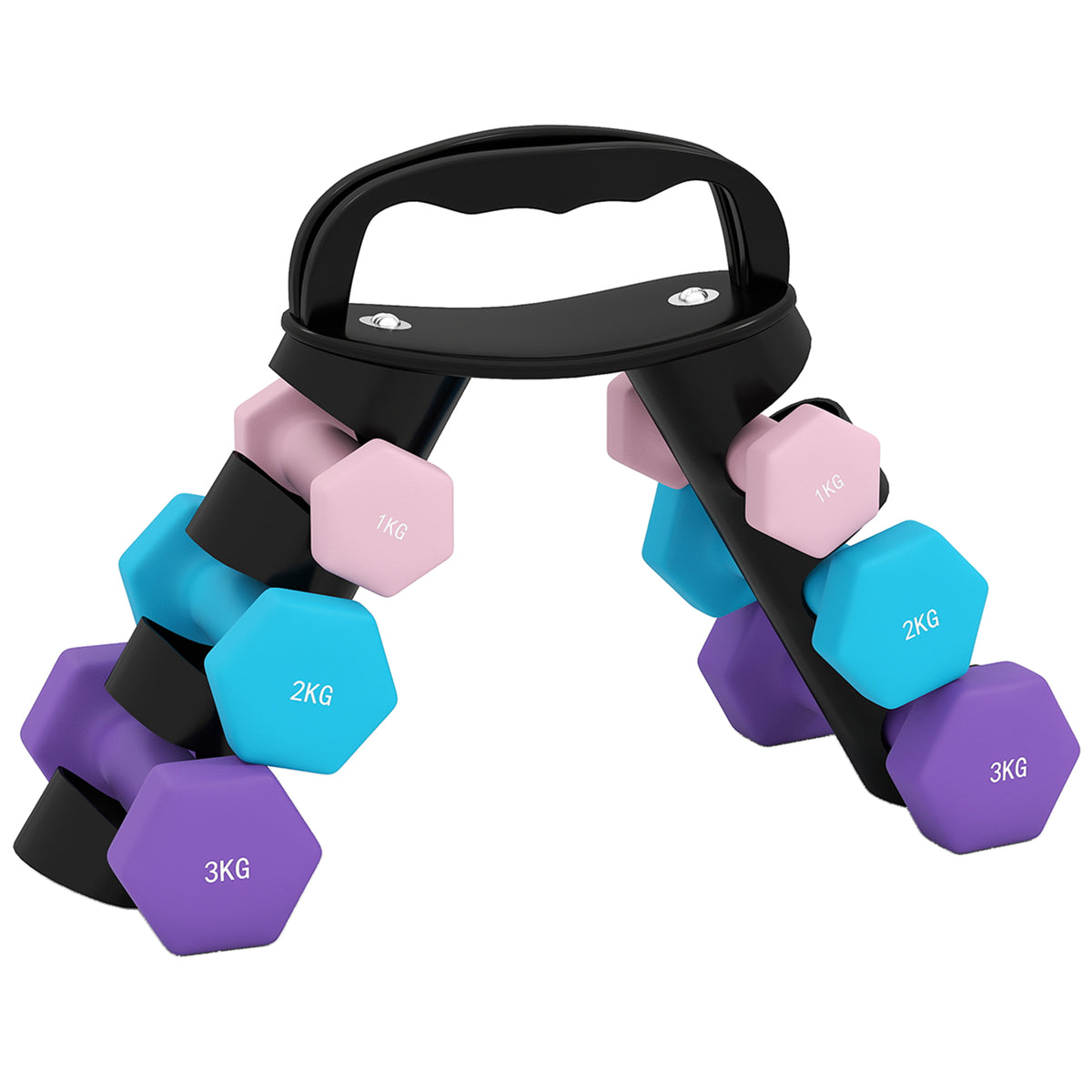 Dumbbell set with storage rack, set of 6 dumbbells for fitness training, 2 x 1kg, 2 x 2kg, 2 x 3kg